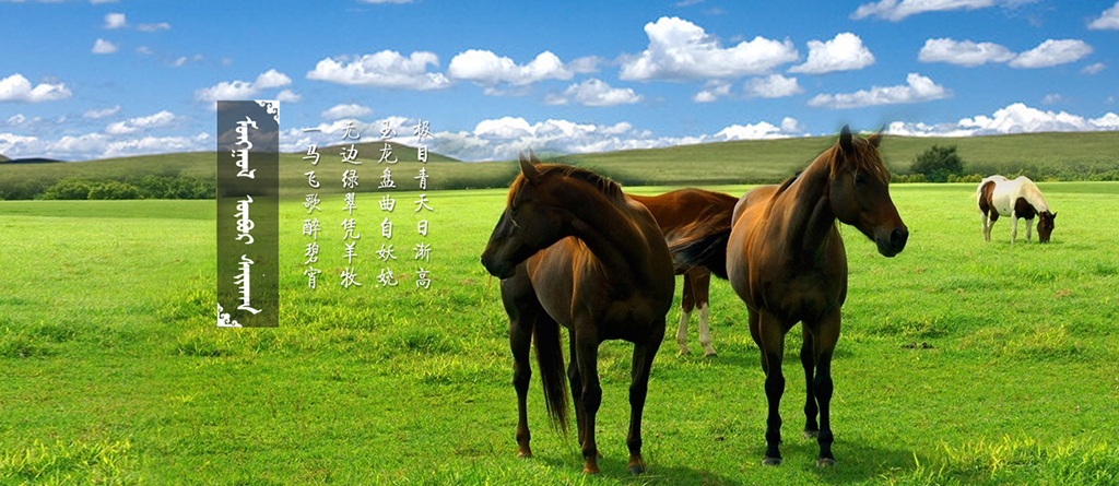 内蒙古巴音锡勒草原旅游开发有限公司 